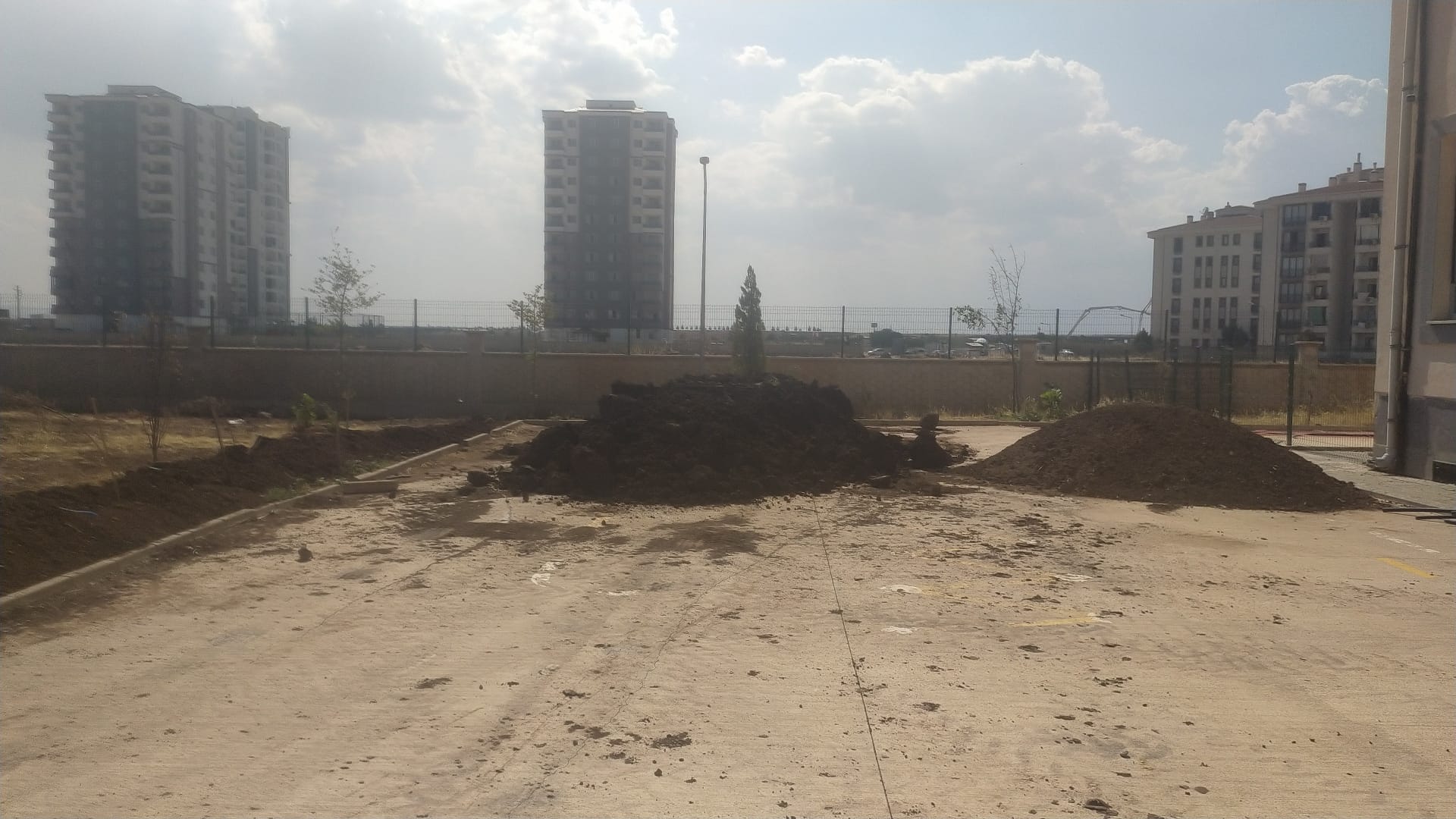 Yeşil Alan Uygulamaları